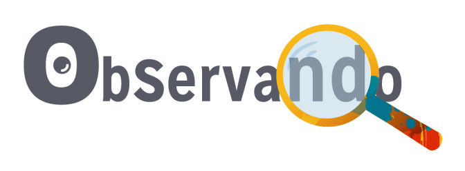 LOGO-OBSERVANDO-FIN-01.jpg