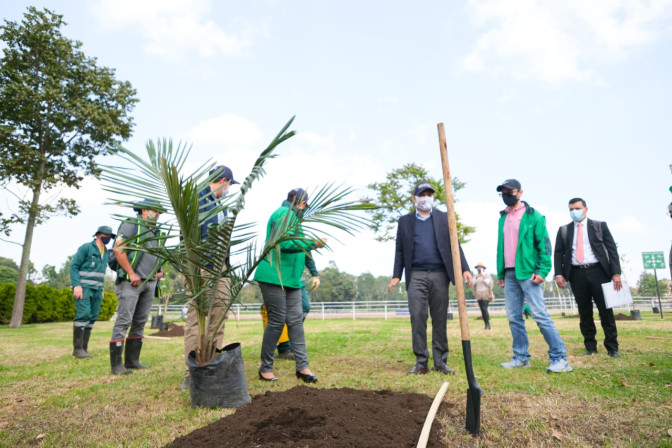 el-ministro-lidera-la-plantacion-de-arboles-en-bogota.jpg